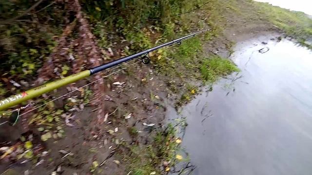 Проверка закидушек, +спиннинг. 24.09.23г.