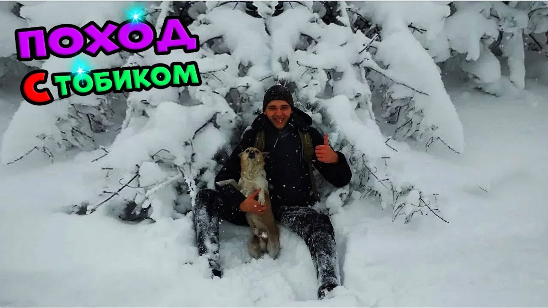 Вышли с Тобиком на природу в -20. Упало дерево на голову. Первый снег.  Отдых на природе.