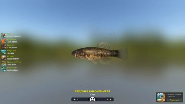Евдошка американская, в игре Трофейная рыбалка 2