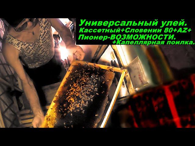 Кассетный универсальный улей .Без физ.усилий.Обзор...Easy maintenance