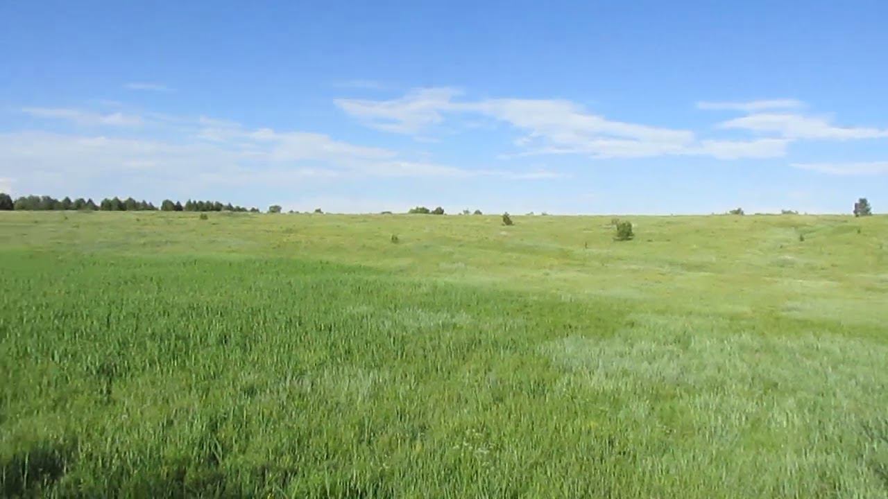 Исчезнувший хутор Михайловский, Вольский район.