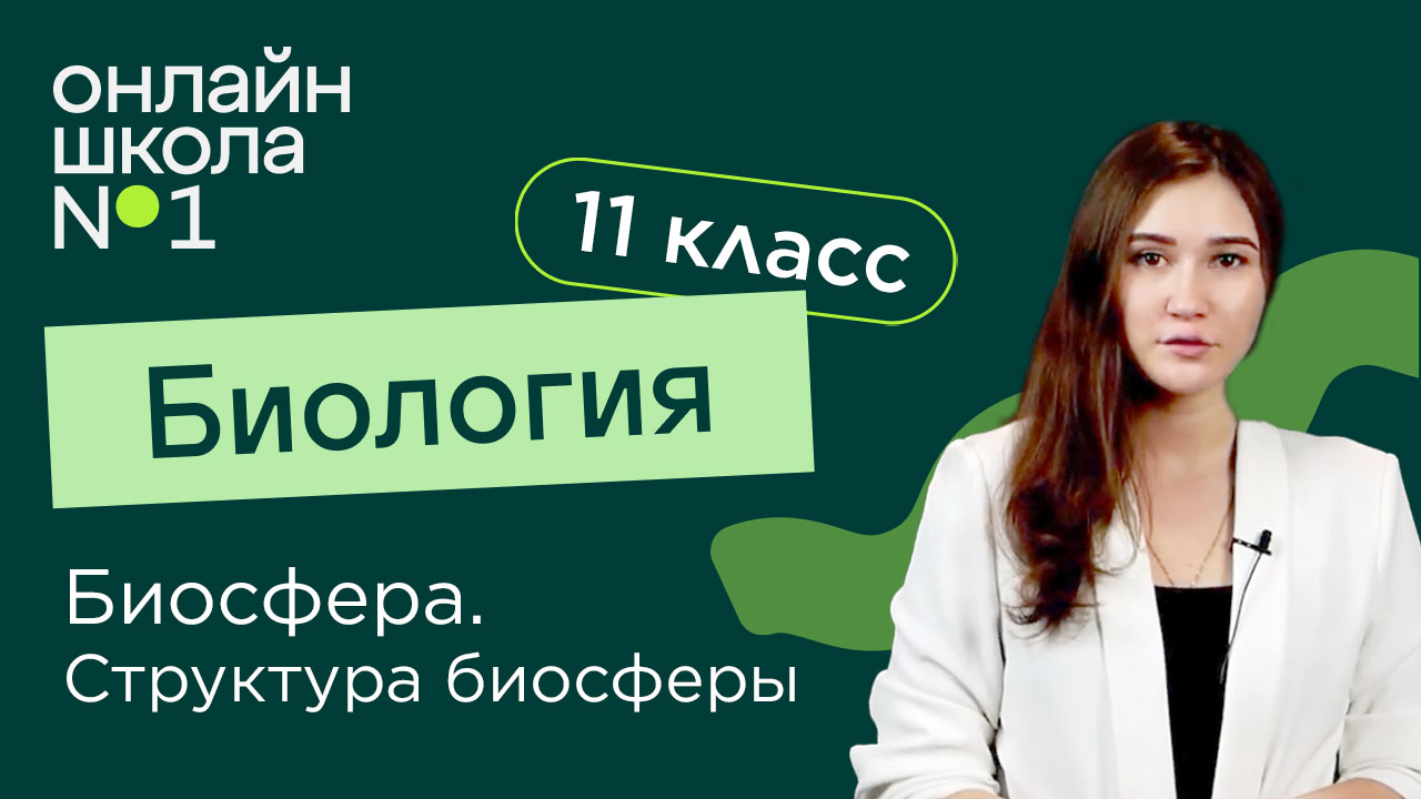 Биосфера. Биология 11 класс. Видеоурок 30
