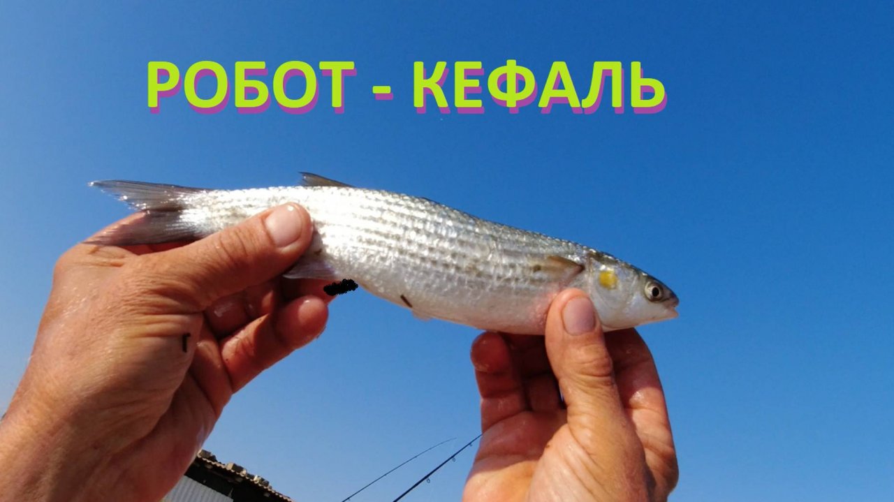 РОБОТ-КЕФАЛЬ