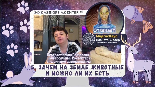 5. Животные - создания Бога. Переваривание животных белков