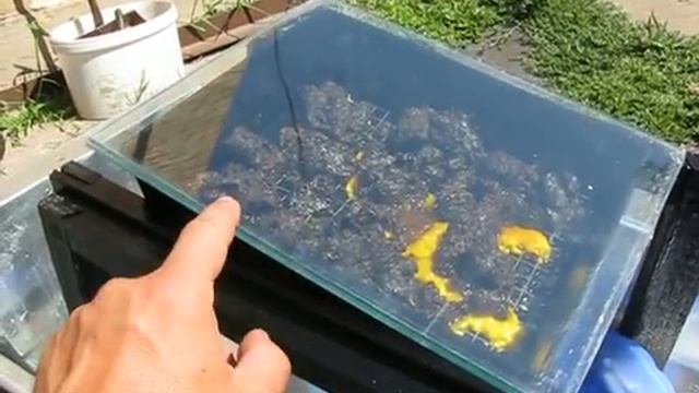 Простейшая солнечная воскотопка своими руками из подручного материала на нашей пасеке