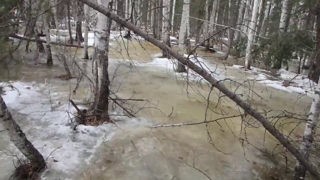 Вспомогательные способы ориентирования. Часть 3