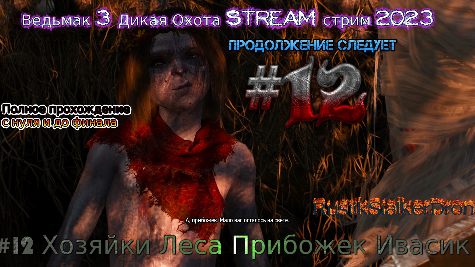 Ведьмак 3 Дикая Охота Stream стрим 2023 Полное прохождение #12 Хозяйки Леса Прибожек Ивасик