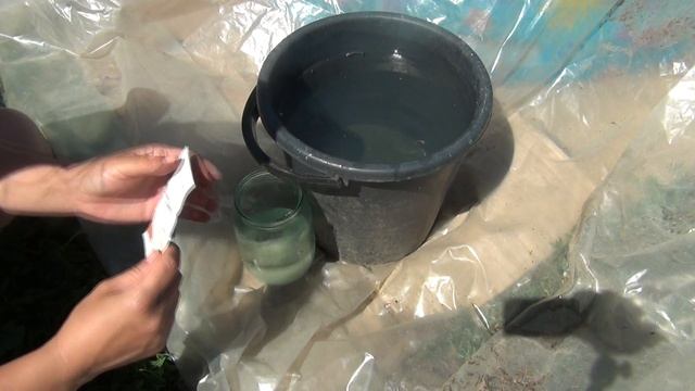 Приготовление стимулятора роста