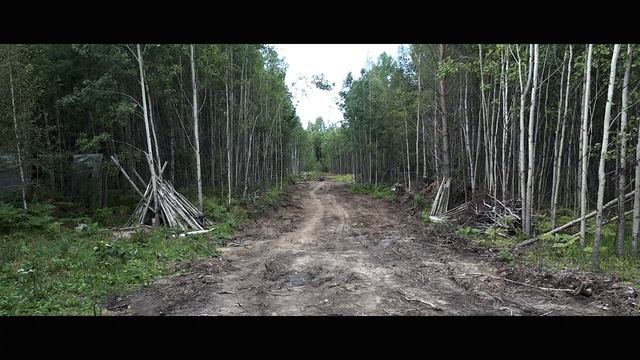 Блочный ЛУК Sanlida Dragon 10 Все что нужно знать