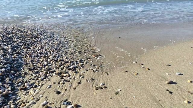 Уточка на море