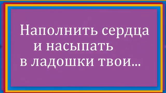 Заказывай мечты!