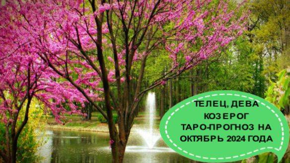 ТЕЛЕЦ, ДЕВА, КОЗЕРОГ ОБЩИЙ ТАРО-ПРОГНОЗ НА ОКТЯБРЬ 2024 ГОДА