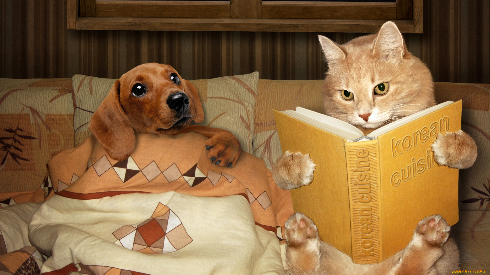 ПРИКОЛЫ С ЖИВОТНЫМИ ДО СЛЕЗ  #13