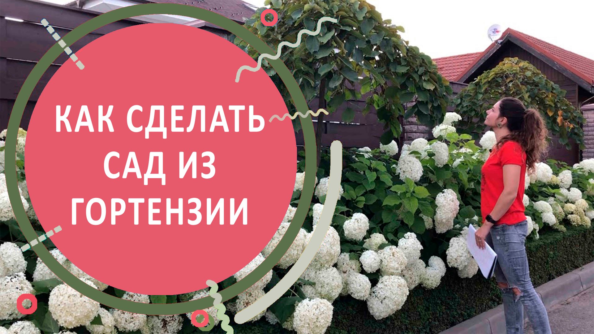 Как сделать сад из гортензии