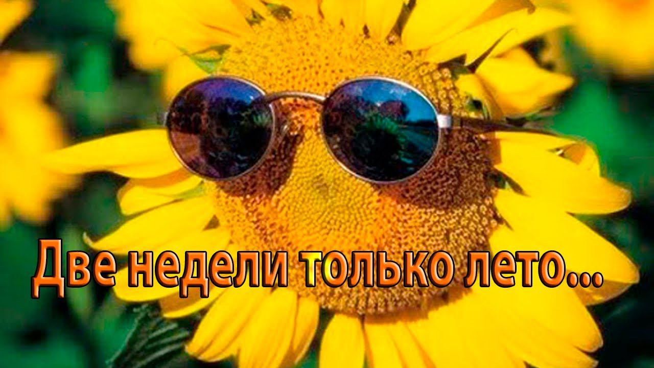 Две недели только лето*
