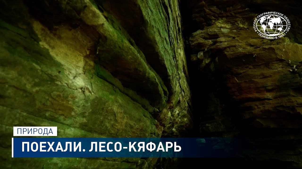 Поехали. Лесо-Кяфарь | @rgo_films