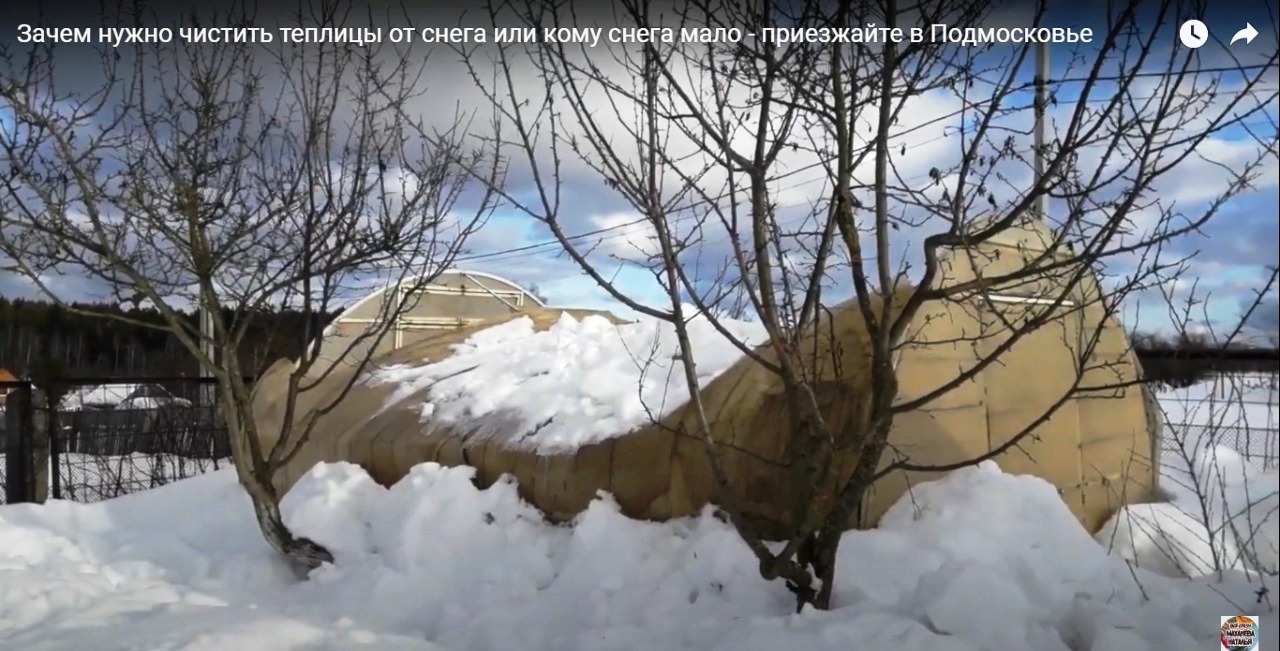 Зачем нужно чистить теплицы от снега или кому снега мало - приезжайте в Подмосковье