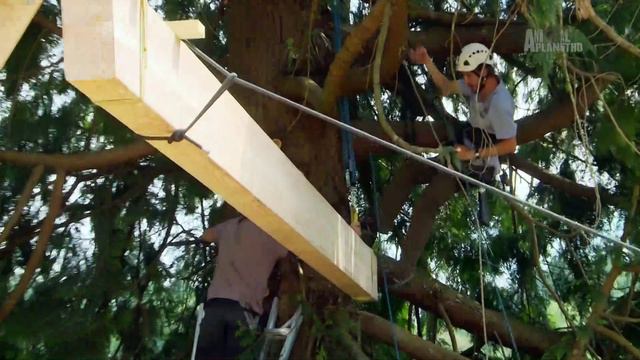 Дома на деревьях 8 серия «По всему миру» (документальный сериал, 2015)