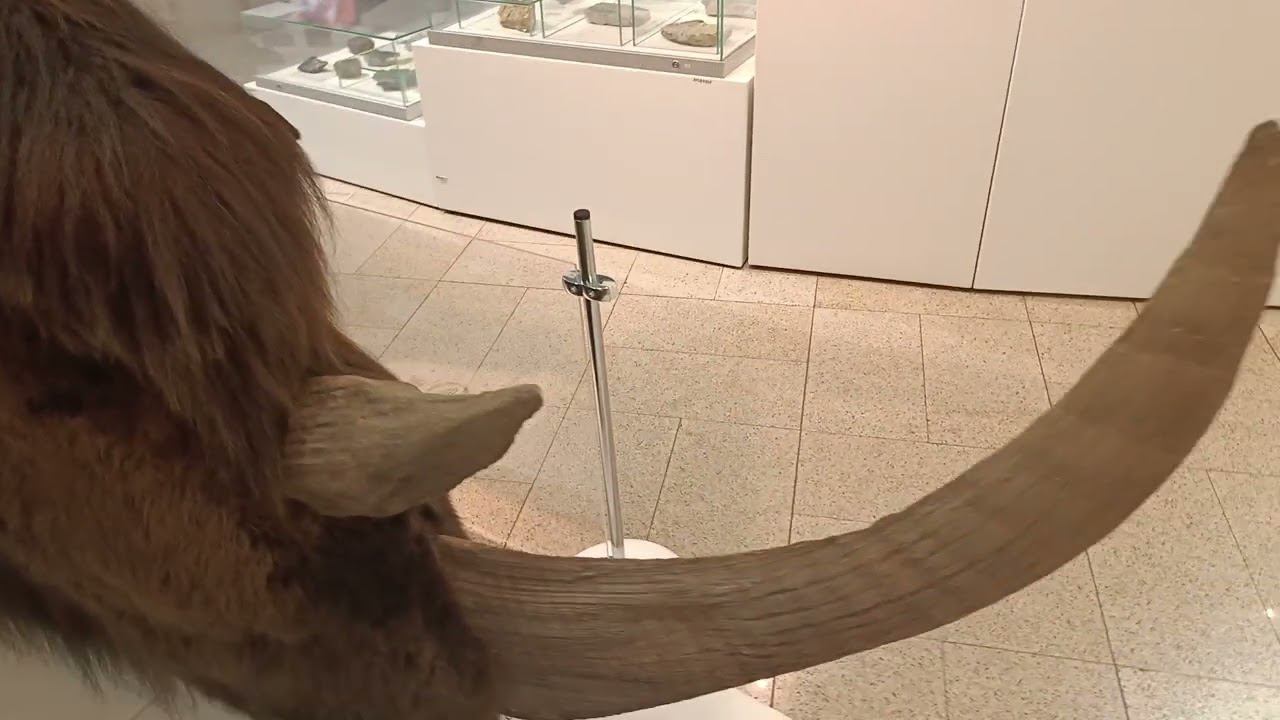 Осколок Челябинского метеорита в Государственном Историческом музее Южного Урала. Часть III