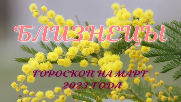 БЛИЗНЕЦЫ ГОРОСКОП НА МАРТ 2023 ГОДА