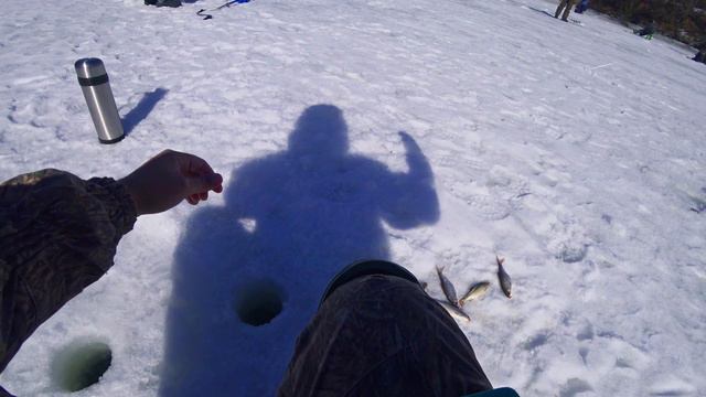 ВОТ ЭТО ЖОР!РЫБАЛКА В КОНЦЕ МАРТА