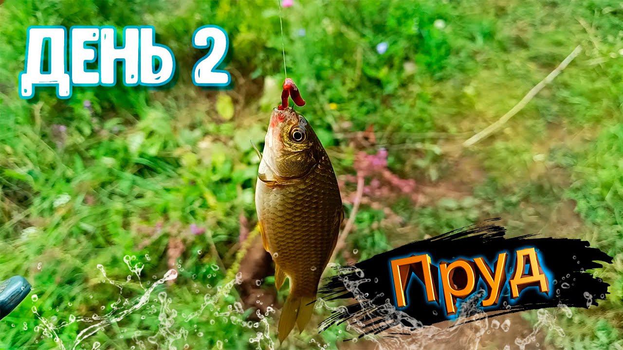 РЫБАЛКА В ЛЕСНОМ ПРУДУ С ДРУГИМ МАРШРУТОМ