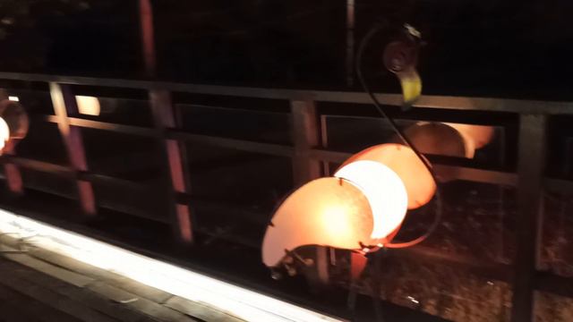 Девочкам понравится точно!ТЦ весь в цветах!