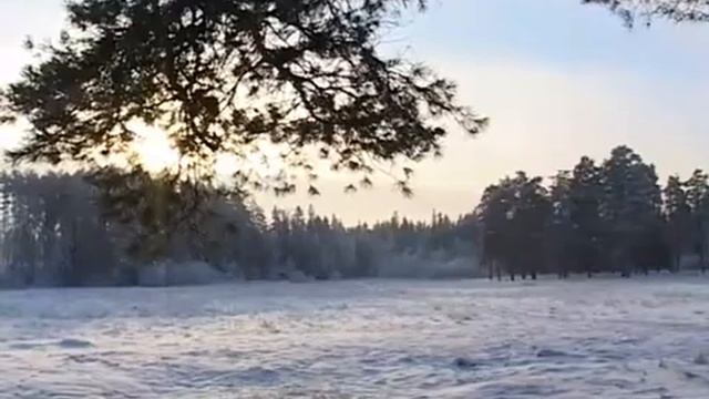 Костромская область  Шарья  Назад в СССР 1