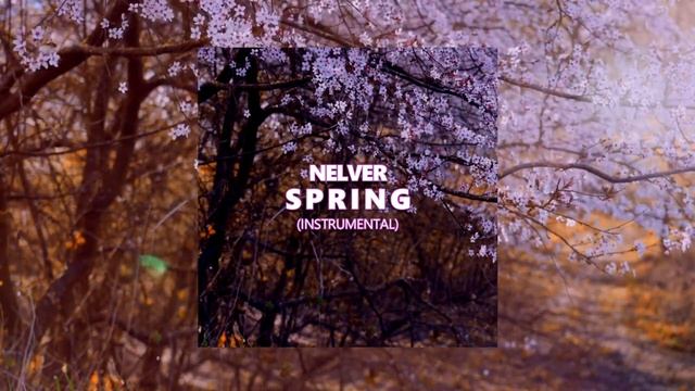 Nelver - Spring (Instrumental) [FREE TRACK 2010]