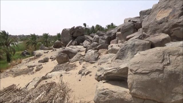 Путешествие в Судан 04 Тумбус + стих / Trvel to Sudan Tumbus