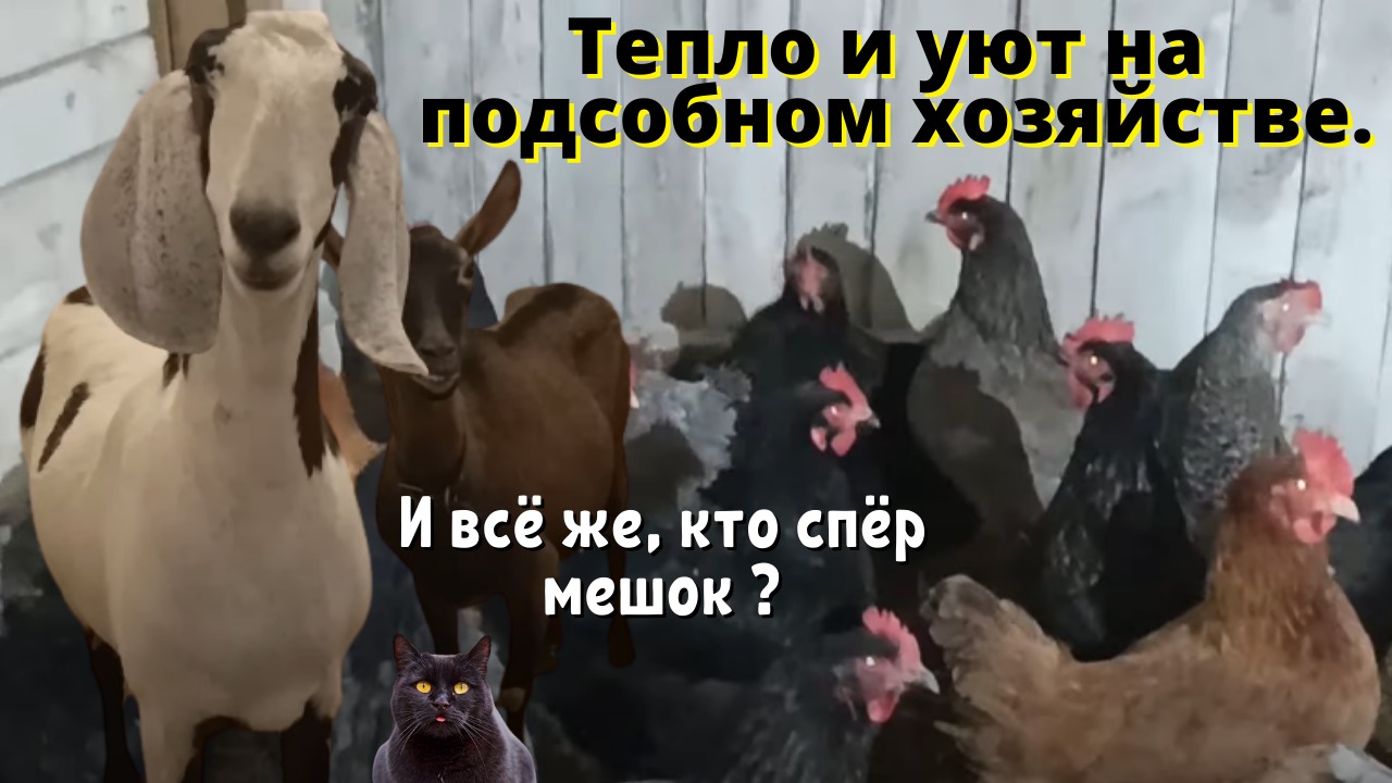 ШО ЦЭ ТАКЭ САНКЦИИ????