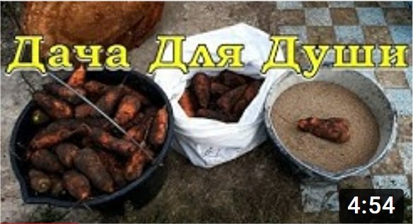 Как сохранить МОРКОВЬ на зиму?!???