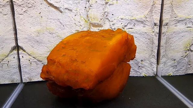 Янтарь бывает разный. Светлогорск. Музей Мирового океана. Из серии "Туристу на заметку"