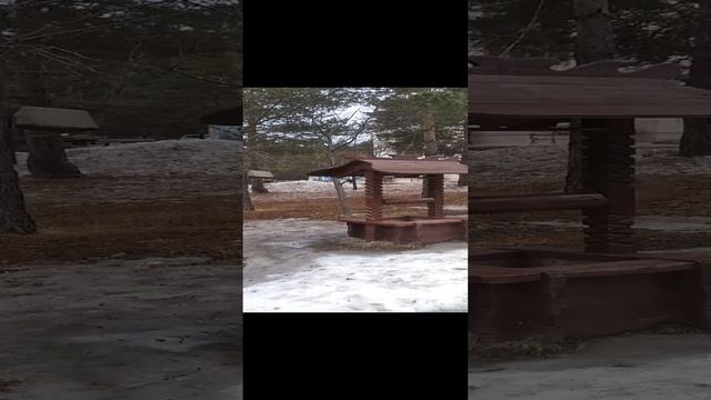 г. Златоуст.  Парк П.П. Бажова. Март 2023