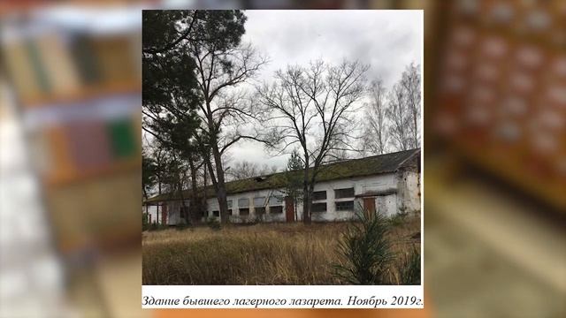 Анастасия Петровна Каратаева, директор центра документации новейшей истории Брянской области