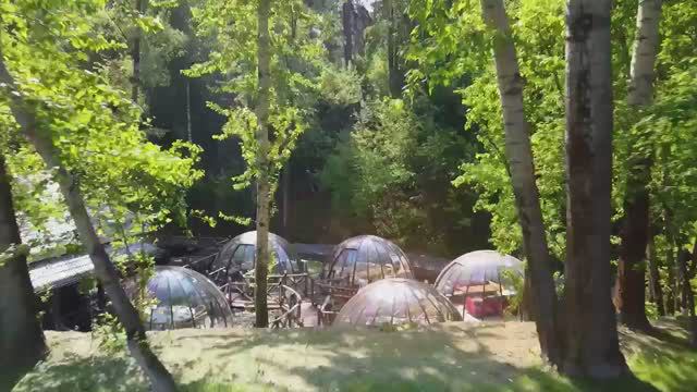 Наши работы