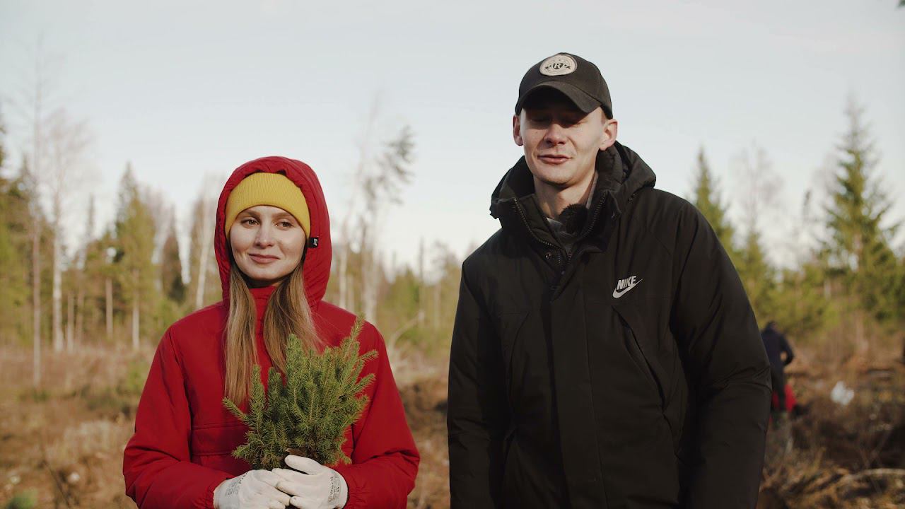 Посадка леса в Республике Удмуртия 23 октября 2021 года