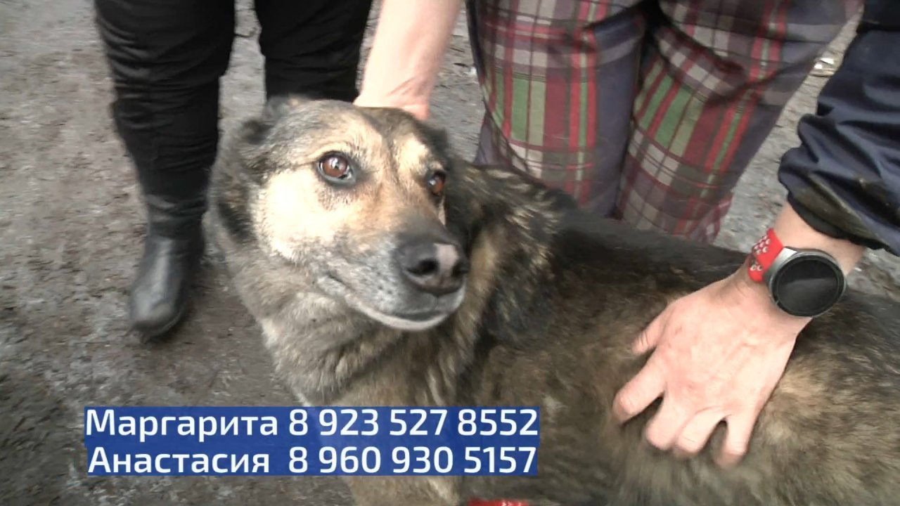 Хочу домой: Лариса