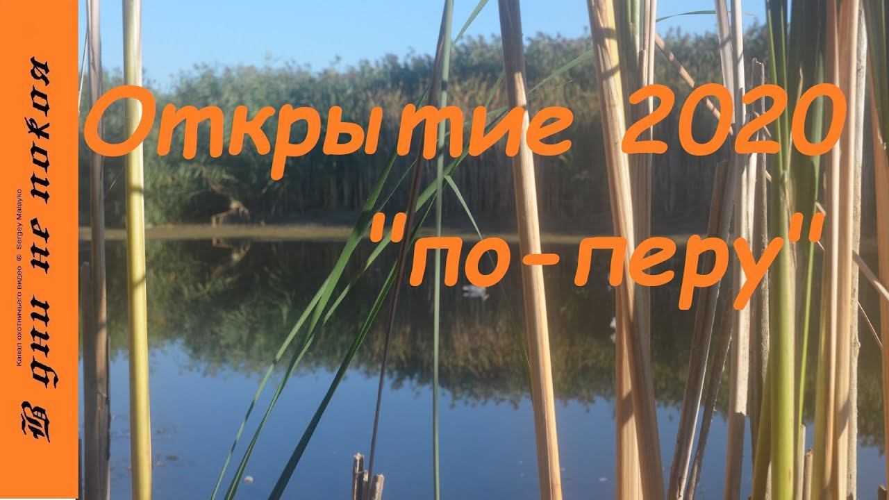 Открытие охоты на уток 2020г. 18+