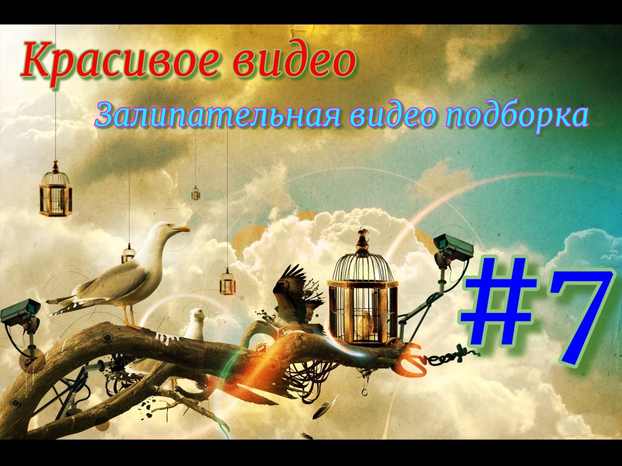 Красивое видео / Залипательная видео подборка #7