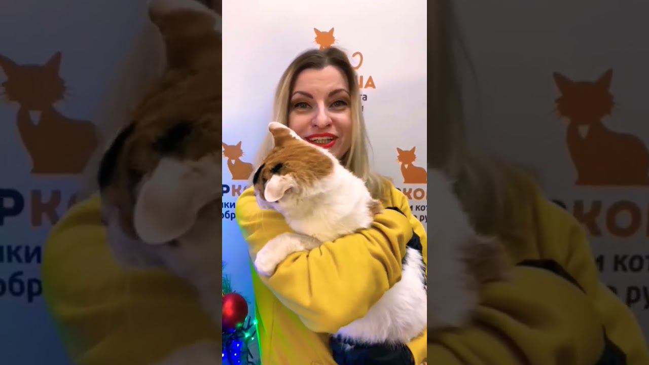 Красавица Лара Крофт (уже дома)