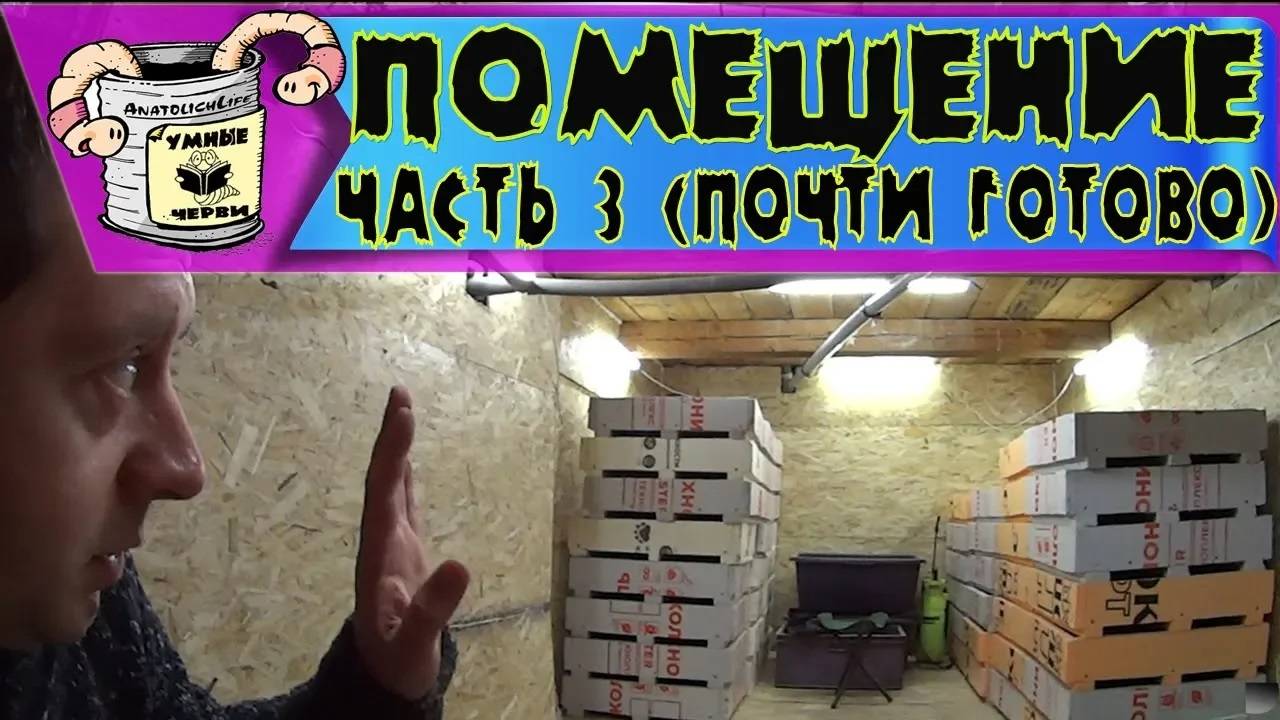 Бизнес идея! Черви- ДЕНДРАБЕНА!! Помещение для разведения червя! Часть 3 (ПОЧТИ ГОТОВО)
