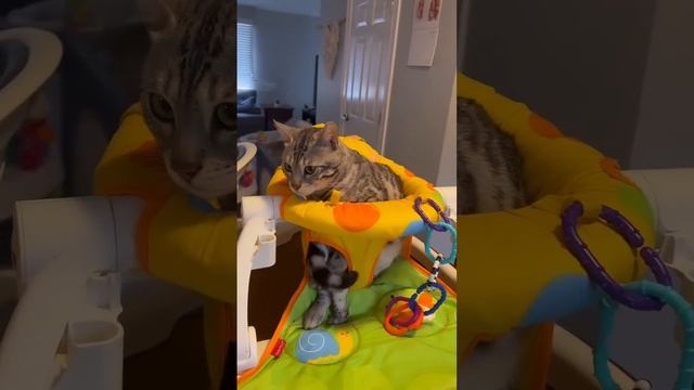 За компанию #За компанию  #short #For the company