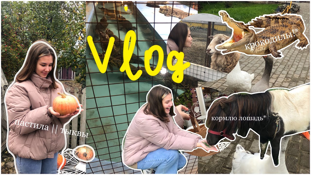 Vlog влог крокодиловая ферма, пастила, ?Коломна