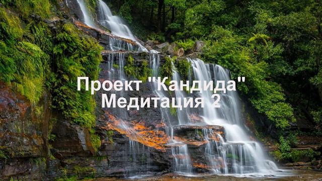 2 Проект _Кандида_