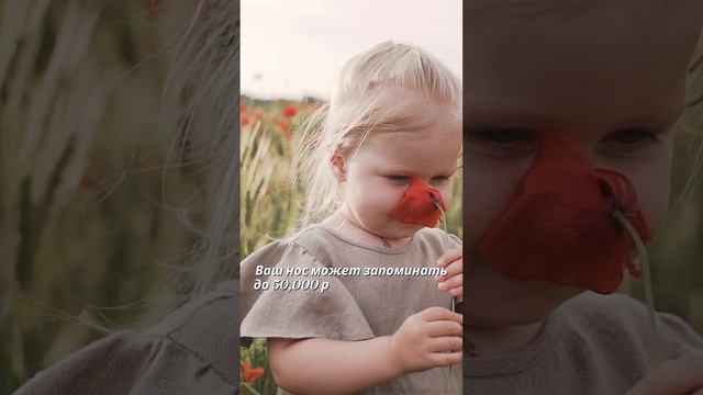 Факт про ваш нос 👃