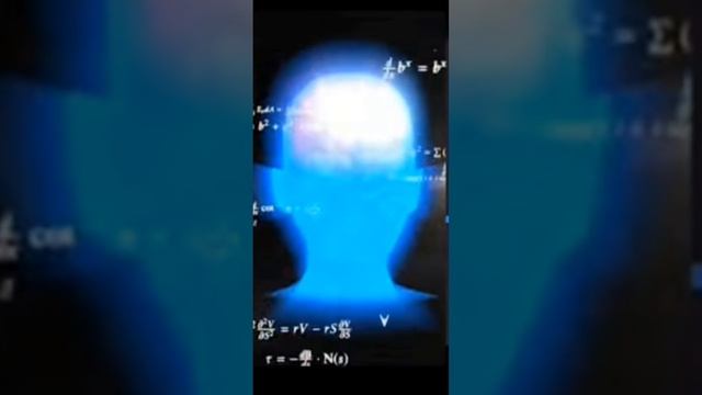 Вас съел кит.Ваши действия?