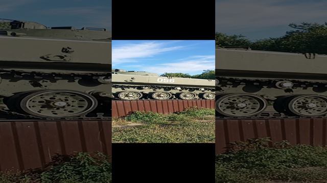 Парк Победы г. Камышин Волгоградской области. Июнь 2024