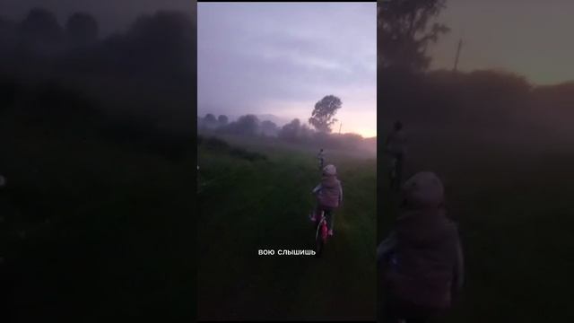 мгла, туман