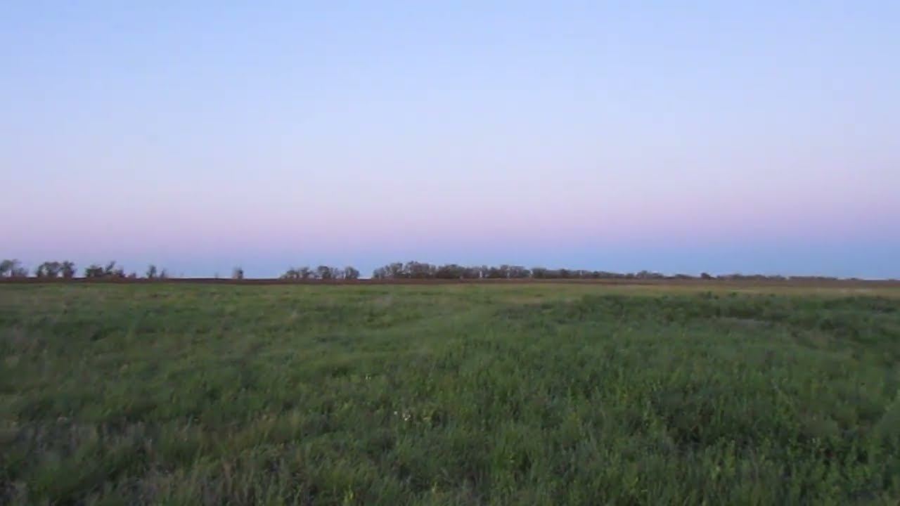 Опустевшее село Шишки, Краснокутский район.